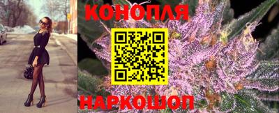 альфа пвп Владикавказ