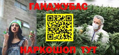 сатива Владимир