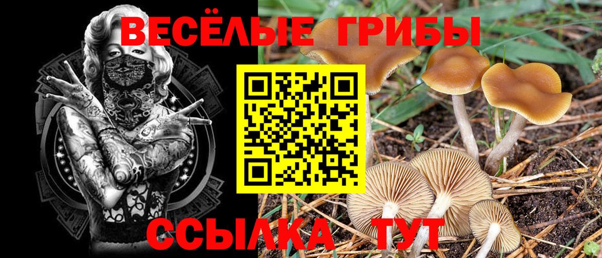 Ахтубинск  Галлюциногенные грибы GOLDEN TEACHER  Вход с VPN 