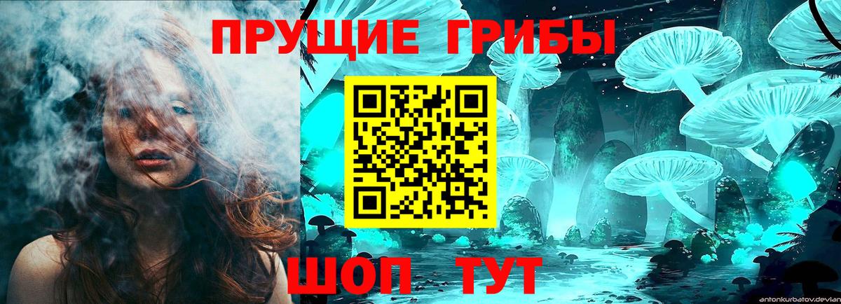 Псилоцибиновые грибы ЛСД Ахтубинск